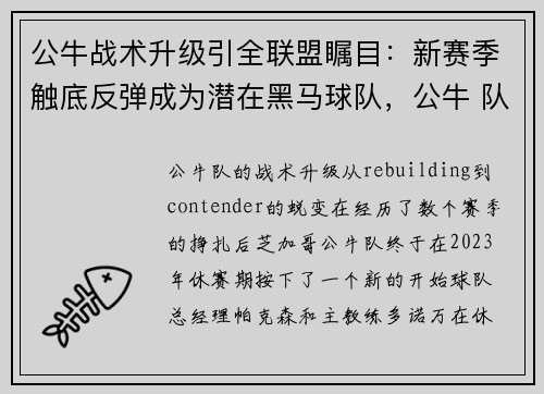 公牛战术升级引全联盟瞩目：新赛季触底反弹成为潜在黑马球队，公牛 队