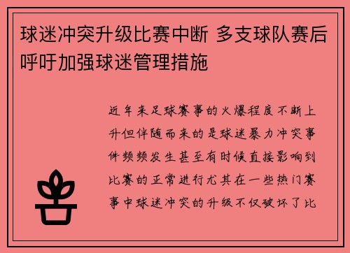 球迷冲突升级比赛中断 多支球队赛后呼吁加强球迷管理措施