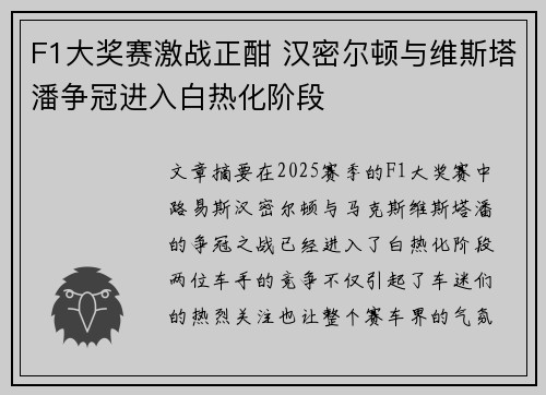 F1大奖赛激战正酣 汉密尔顿与维斯塔潘争冠进入白热化阶段